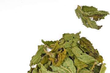Hill Crops